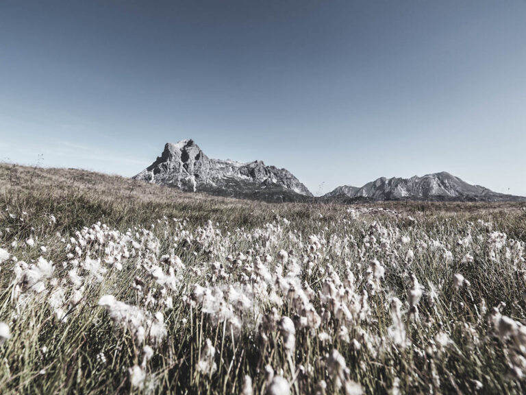 Natur-Entdecker aufgepasst!