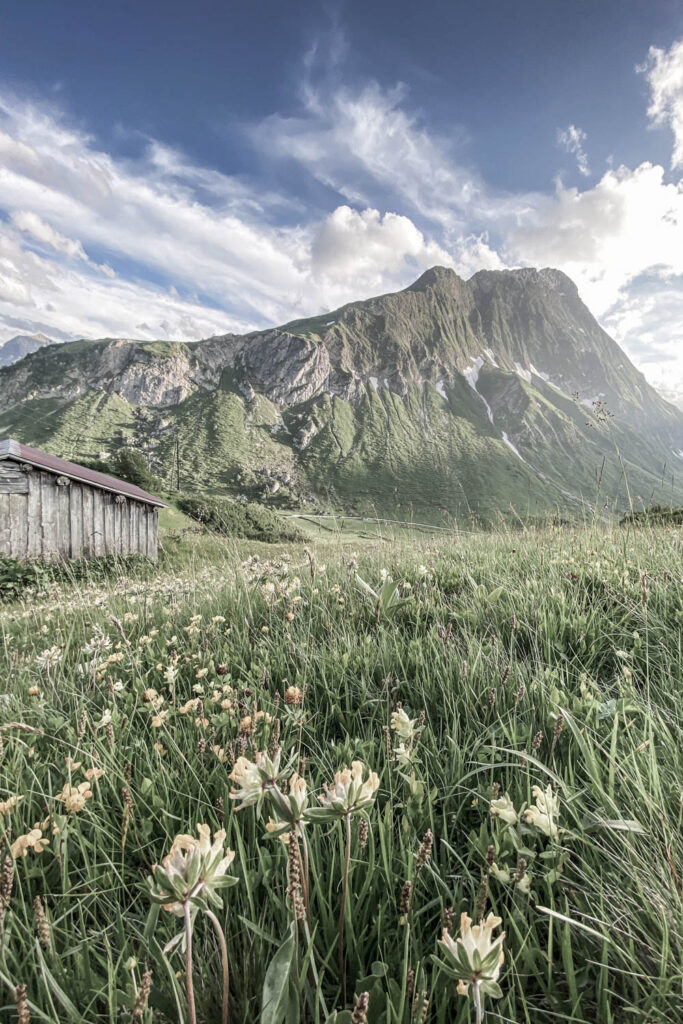 Zuhause im Paradies