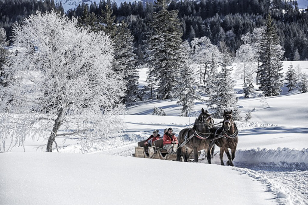 Kutsche im Schnee | Winterurlaub für Genießer