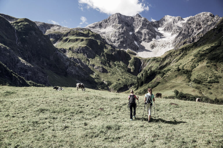 Wanderer auf Kuhweide | Sommerurlaub im Bregenzerwald