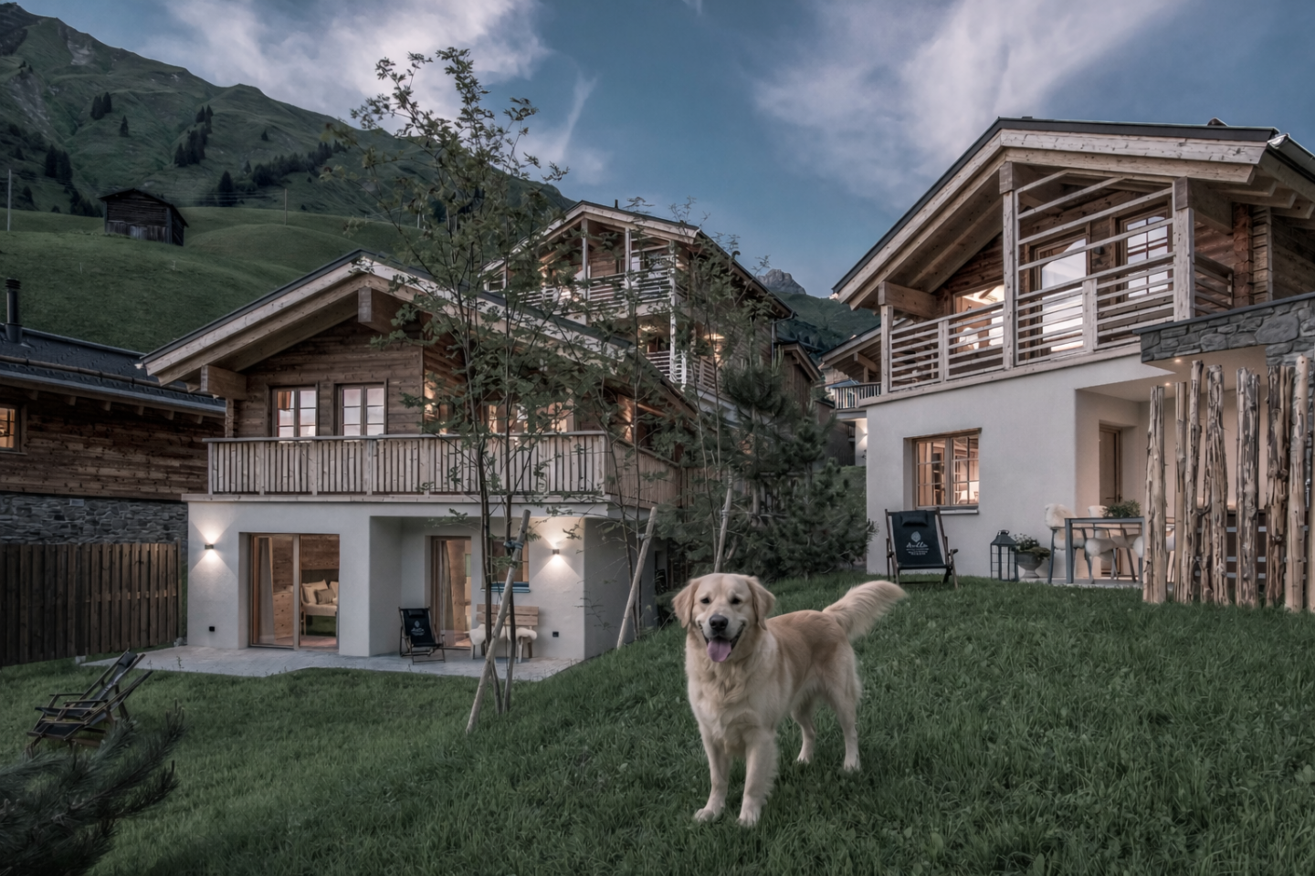 Urlaub mit Hund